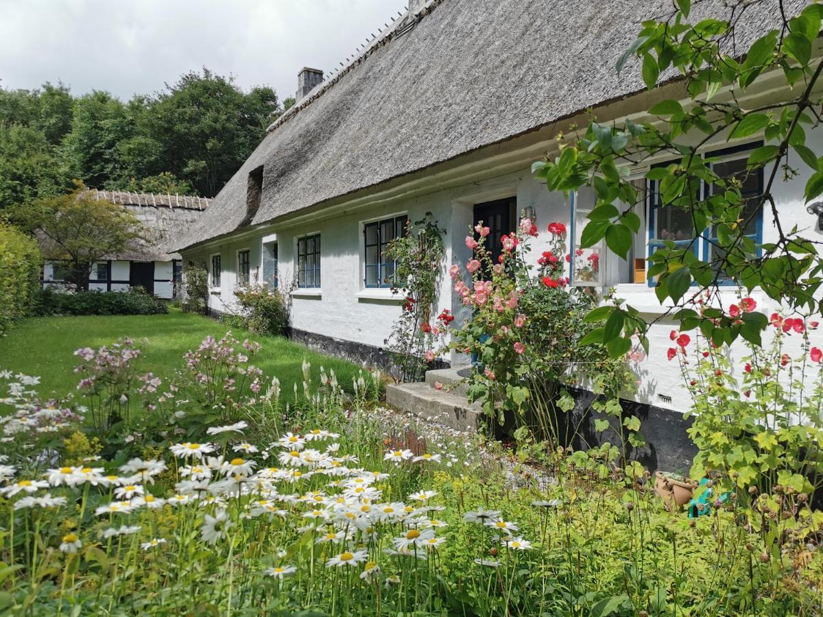 Plantepressen B&B Faaborg Exterior photo