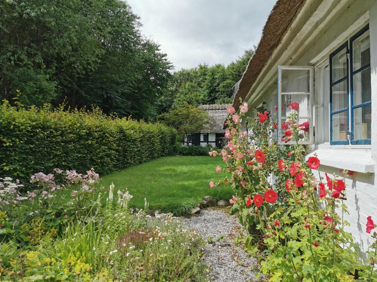 Plantepressen B&B Faaborg Exterior photo