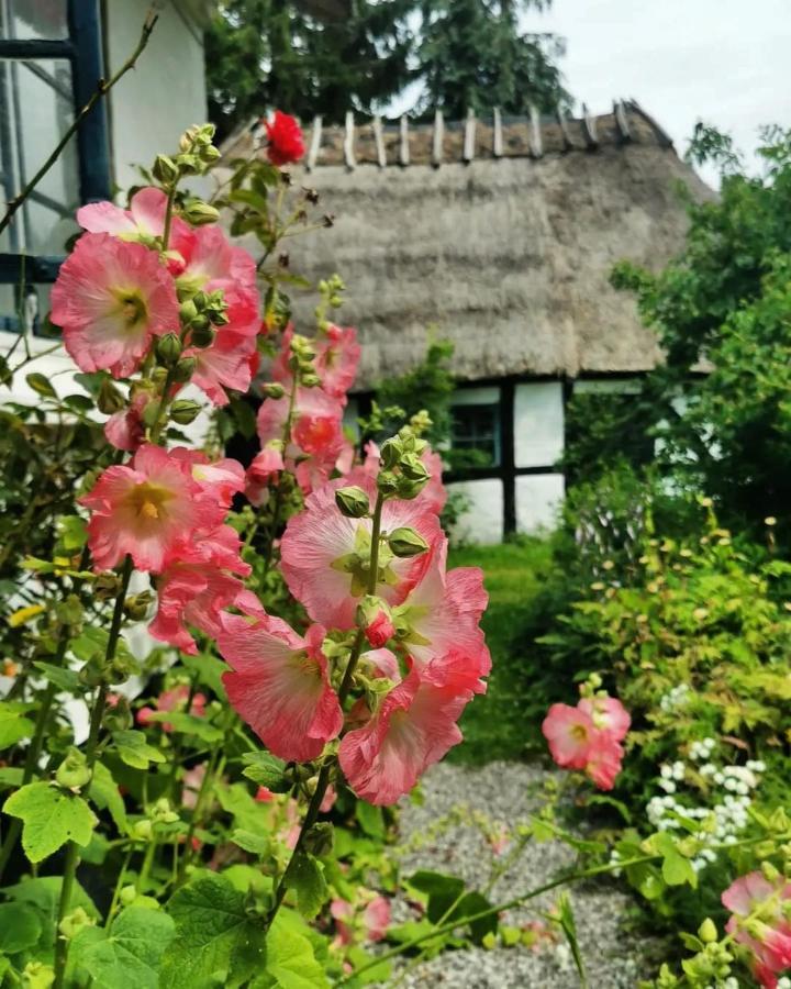 Plantepressen B&B Faaborg Exterior photo
